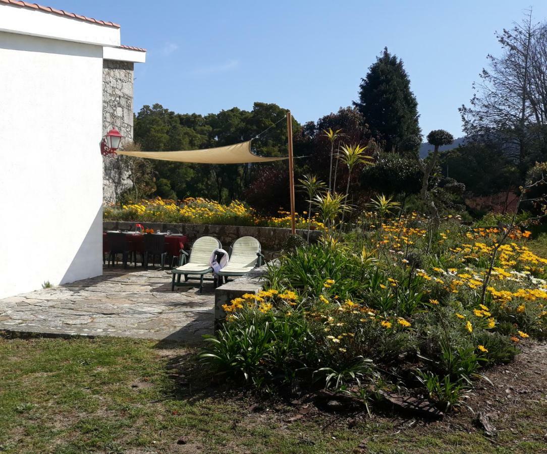 فيلا Casa Do Sol موليدو المظهر الخارجي الصورة